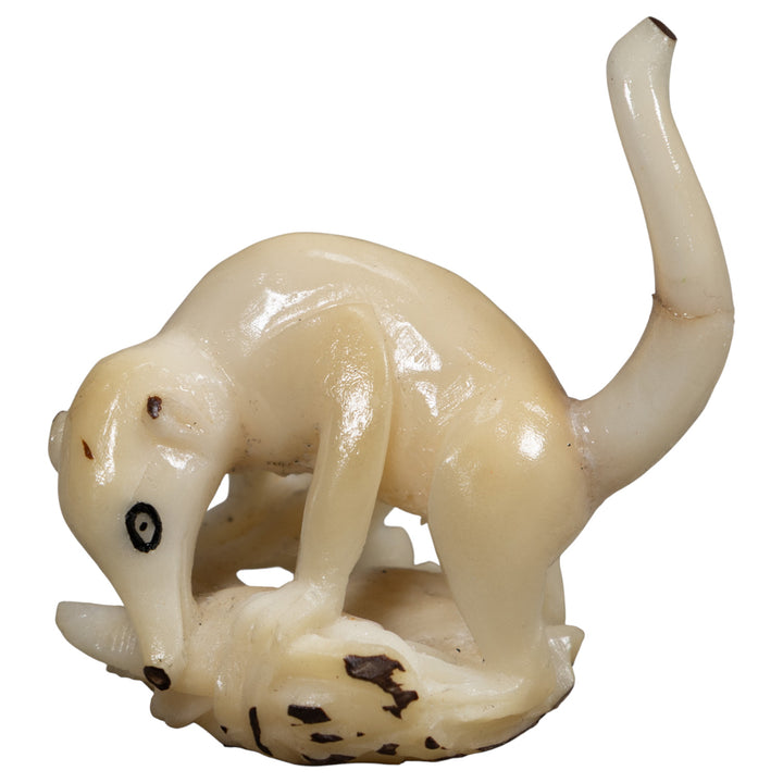 White Natural Coatimundi Eating Yucca Tagua Carving