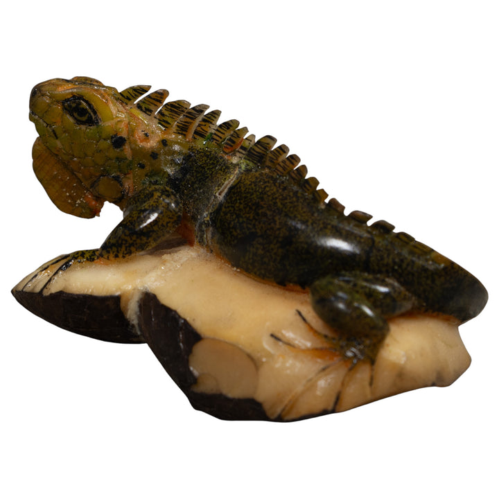 Iguana Lizard Reptile Tagua Carving