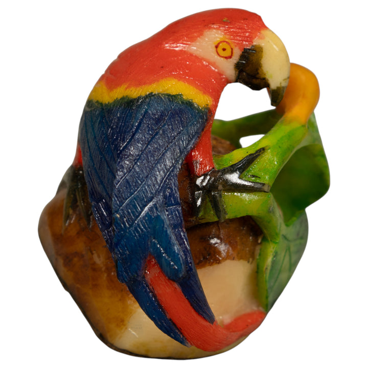 Red Blue And Yellow Macaw Parrot Bird Tagua Carving