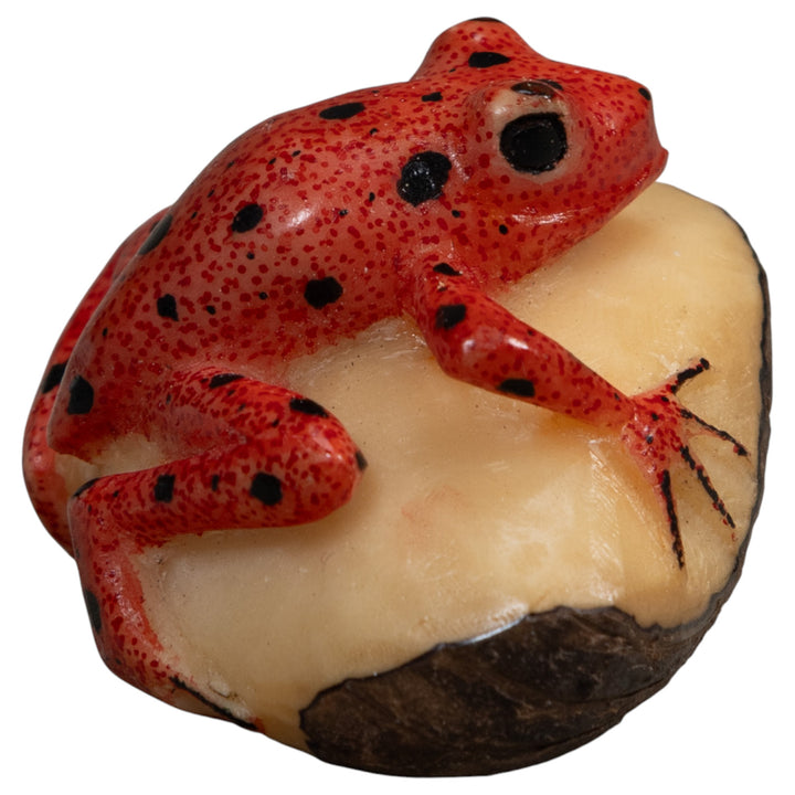 Vintage Red And Black Poison Dart Frog Tagua Carving