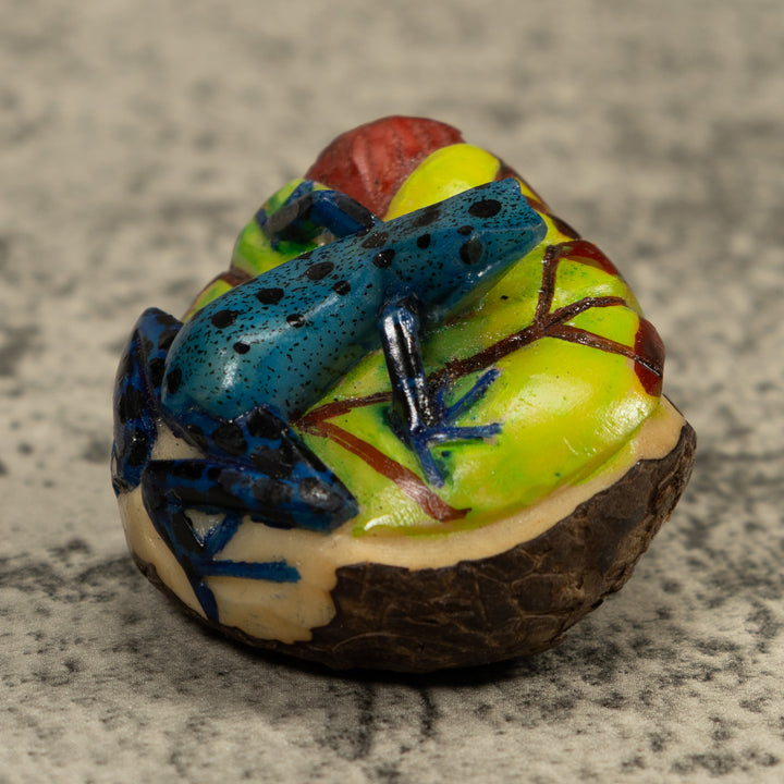Poison Dart Blue Frog Tagua Carving