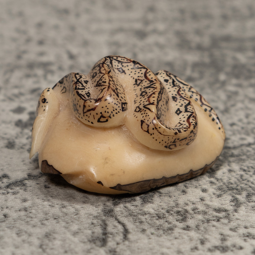 Jungle Snake Tagua Carving