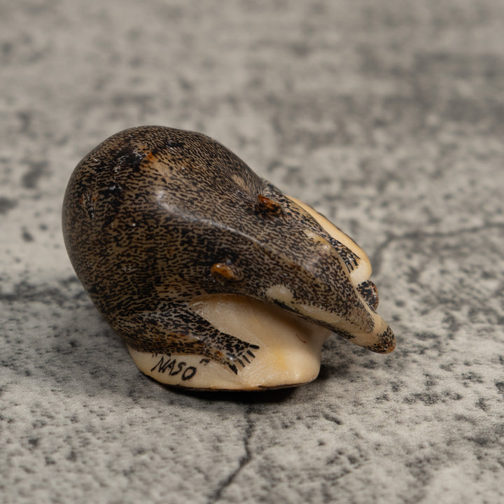 Vintage Black And White Coatimundi Tagua Carving