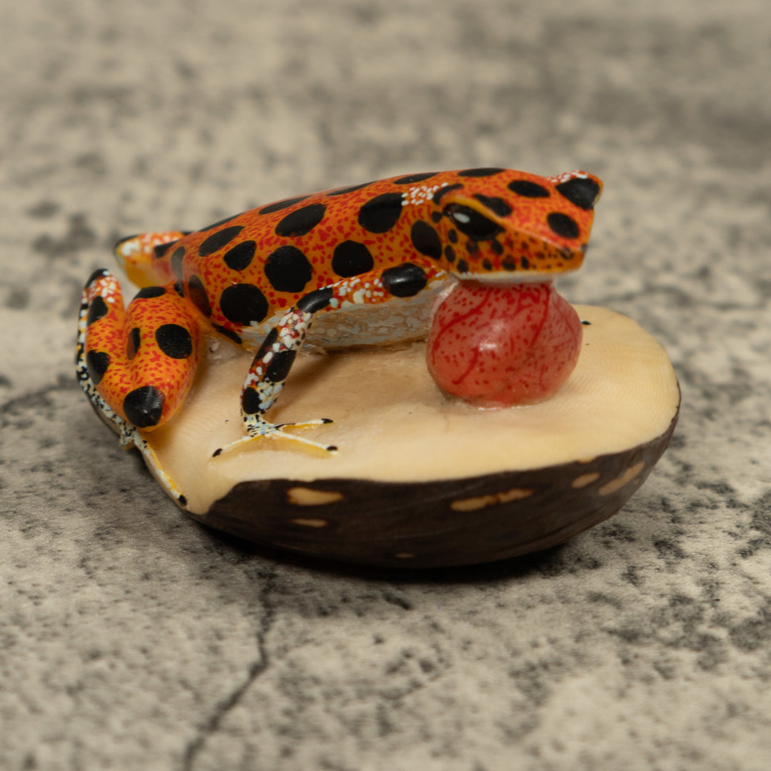 Poison Dart Frog Blow throat Tagua Carving
