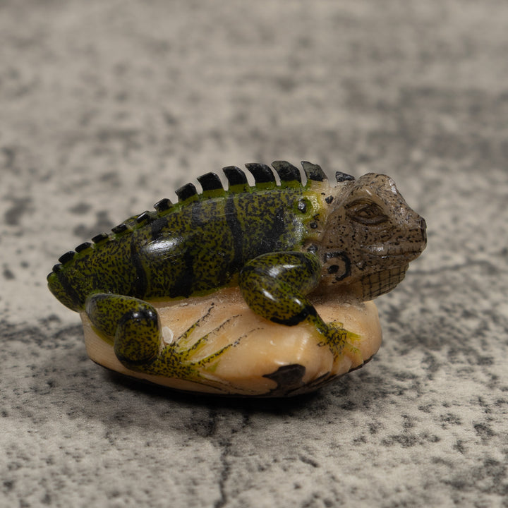 Iguana Lizard Reptile Tagua Carving