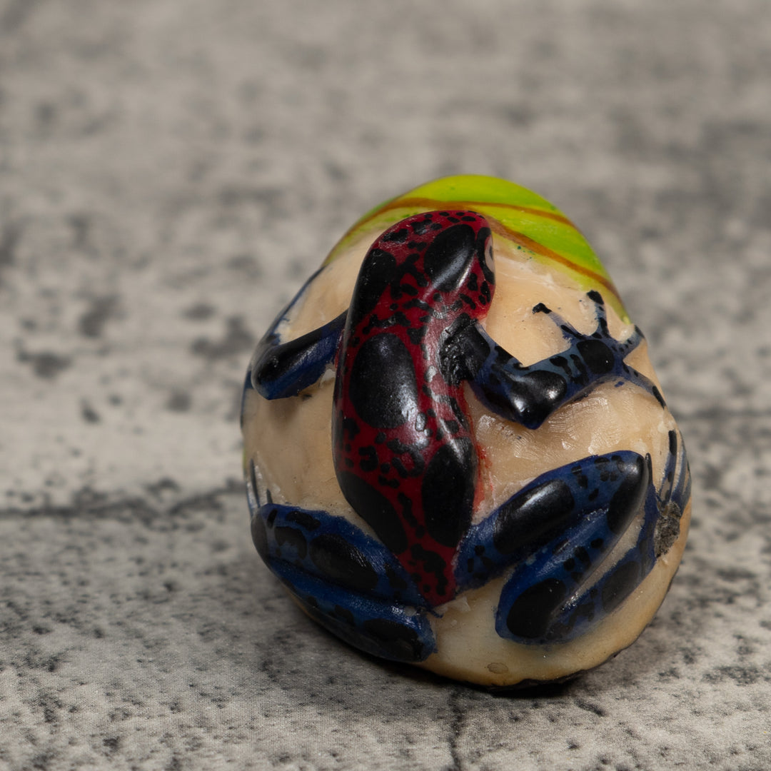 Vintage Black Red And Green Frog Tagua Carving