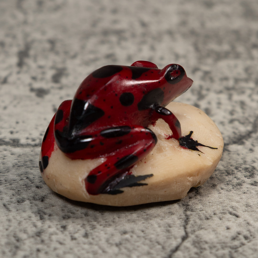 Vintage Red And Black Poison Dart Frog Tagua Carving