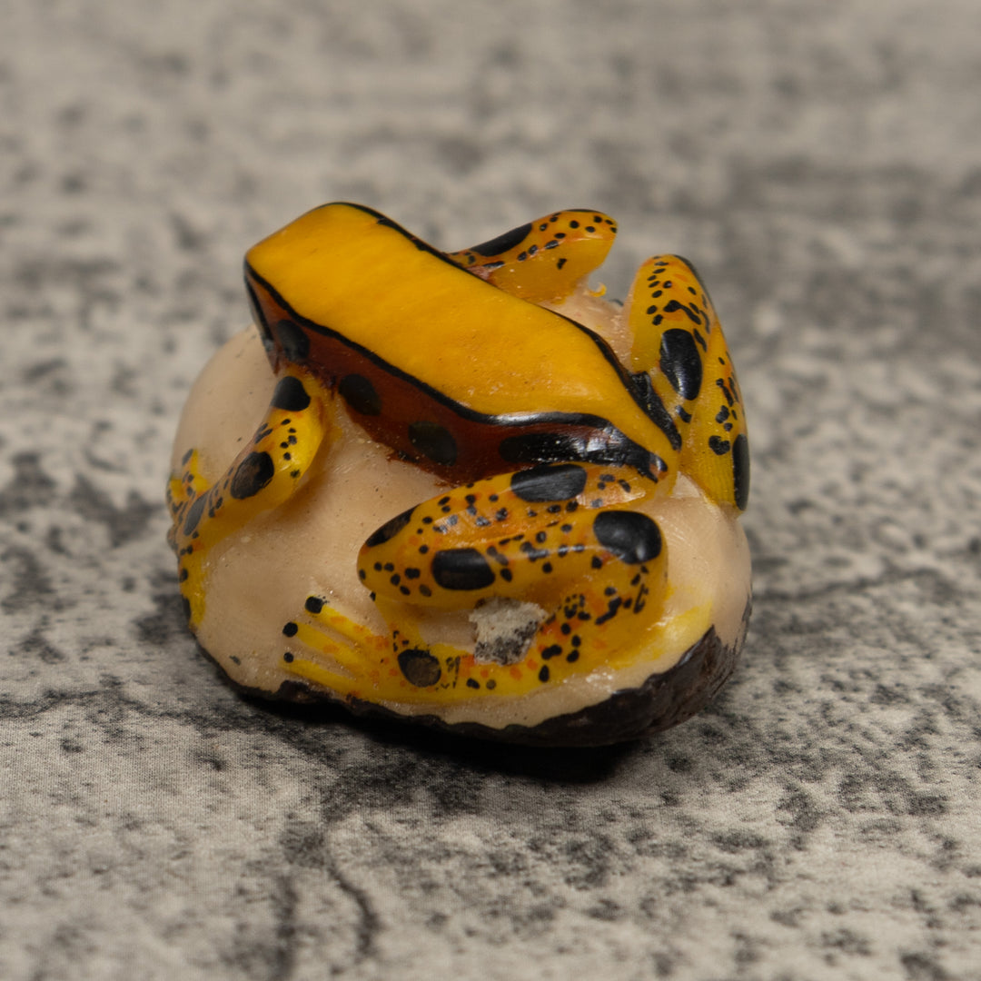Poison Dart Frog Tagua Carving