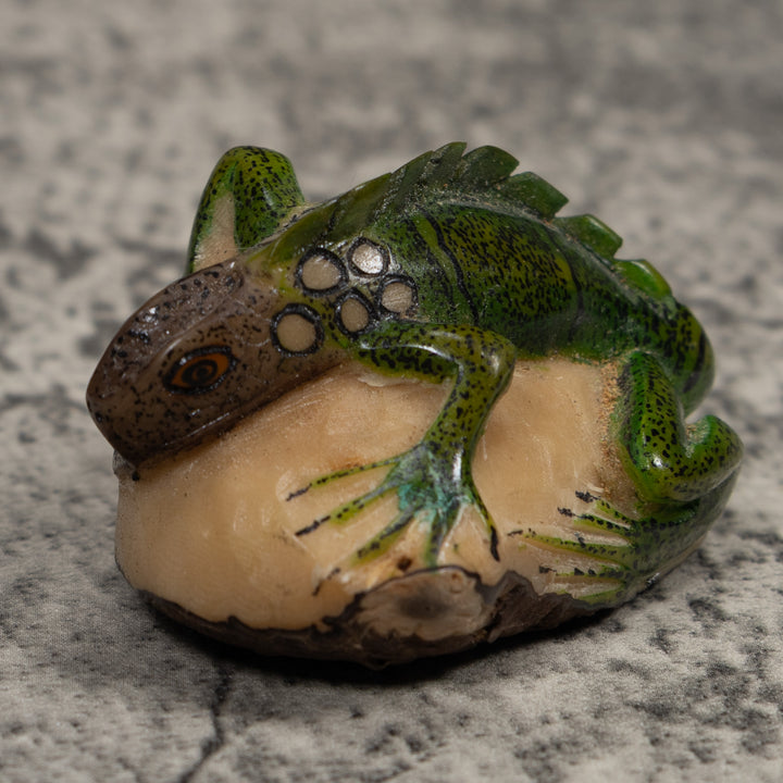Iguana Lizard Reptile Tagua Carving