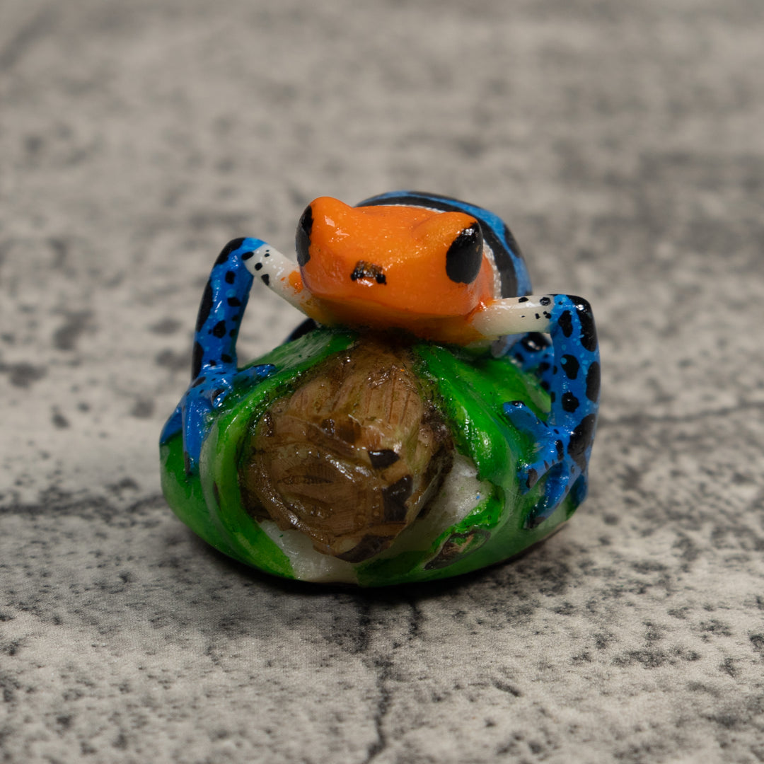 Orange Blue And Black Poison Dart Frog Tagua Carving