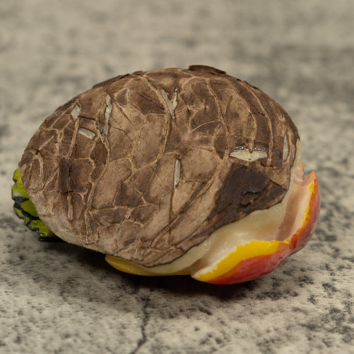 Hummingbird Tagua Carving