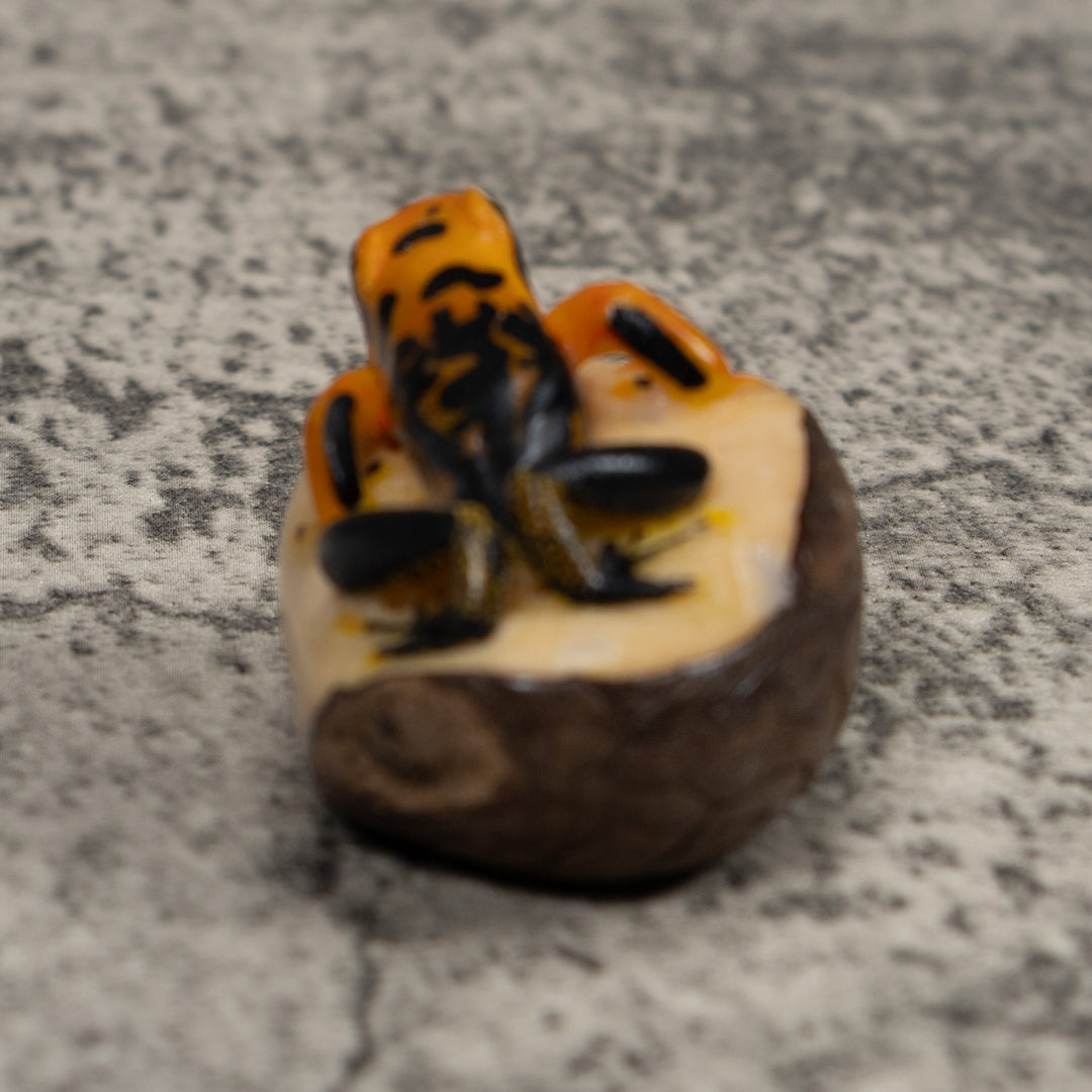 Black And Gold Poison Dart Frog Tagua Carving