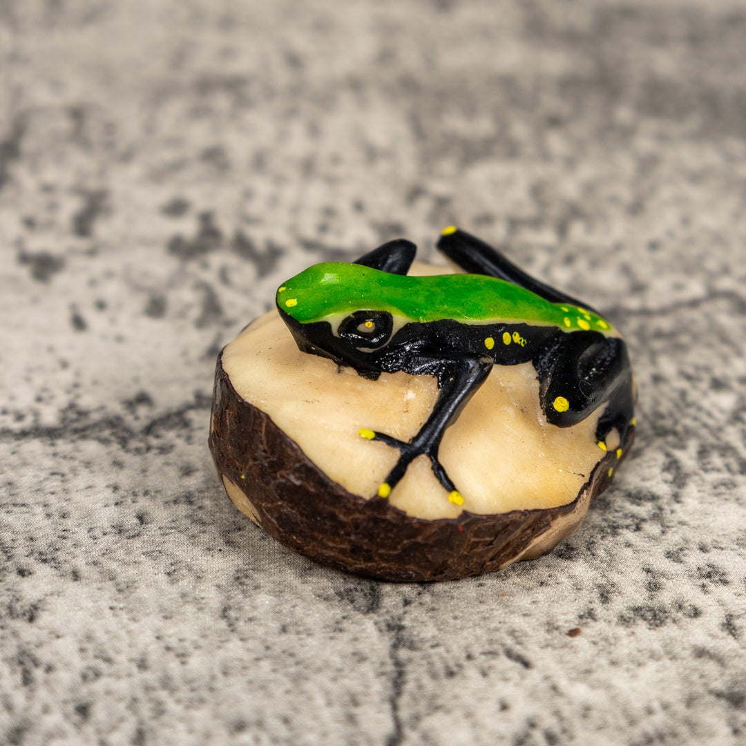 Black And Green Poison Dart Frog Tagua Carving