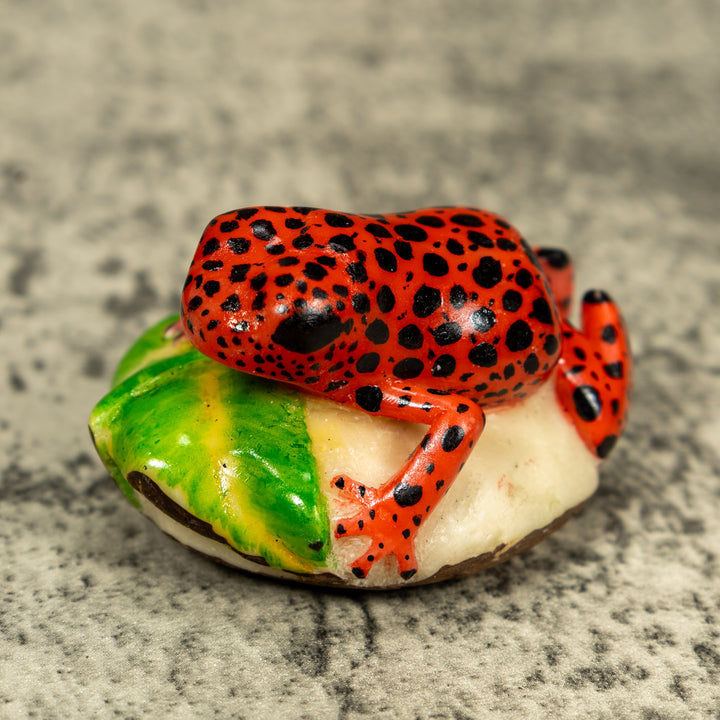 Red And Black Poison Dart Frog Tagua Carving