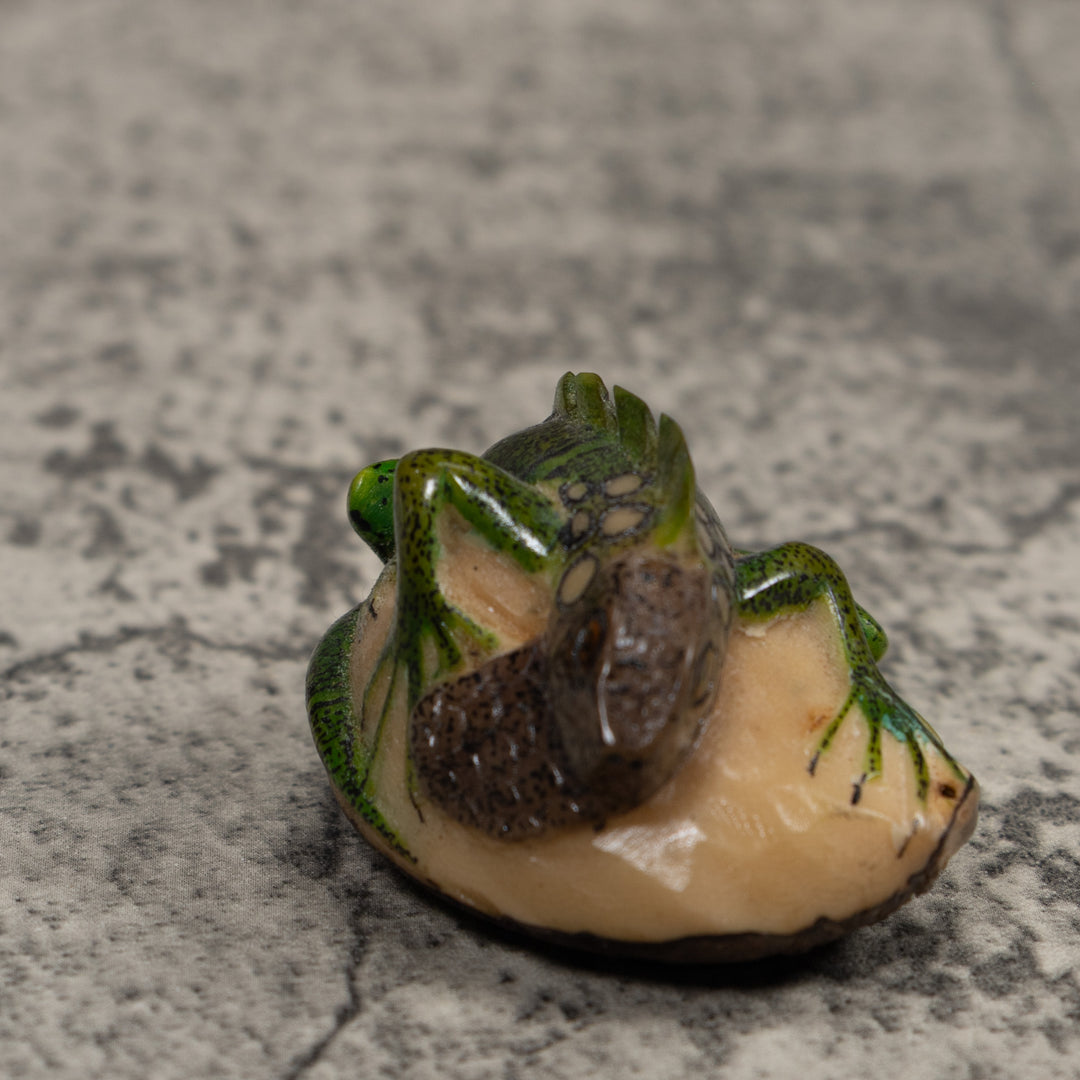 Iguana Lizard Reptile Tagua Carving