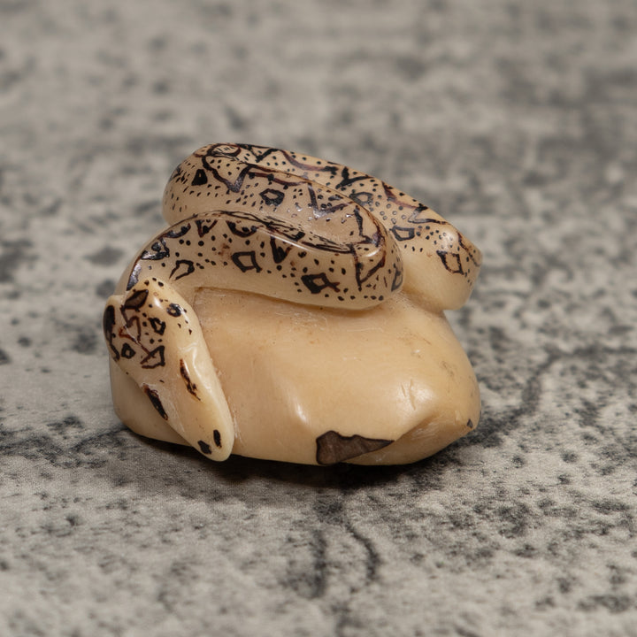 Jungle Snake Tagua Carving