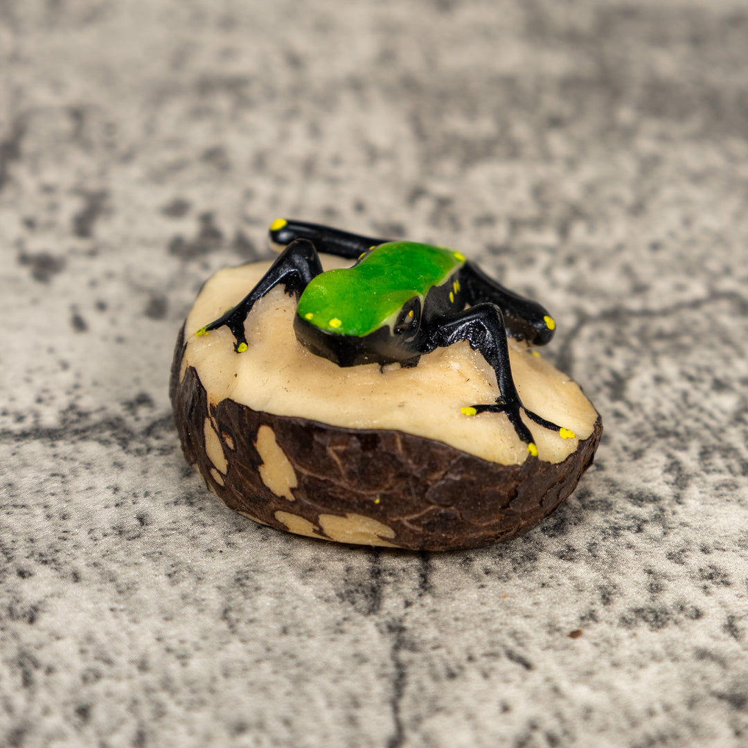 Black And Green Poison Dart Frog Tagua Carving