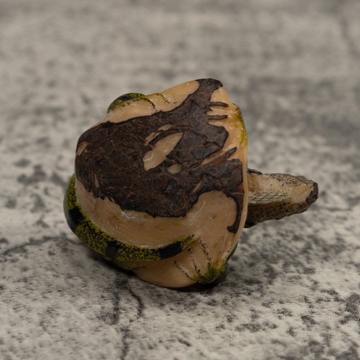 Iguana Lizard Reptile Tagua Carving