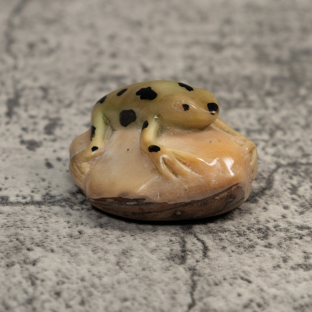 Pale Yellow And Black Jungle Frog Tagua Carving