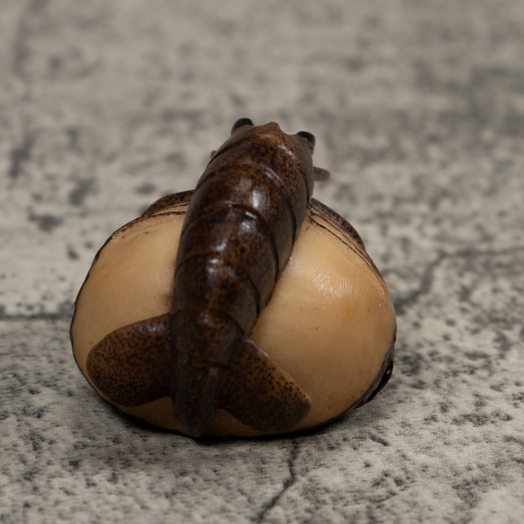 Vintage Shrimp Tagua Carving
