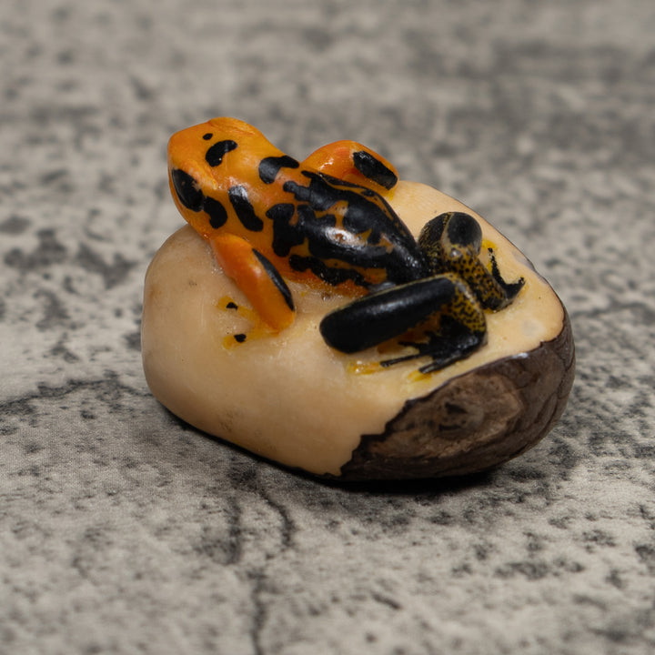 Black And Gold Poison Dart Frog Tagua Carving