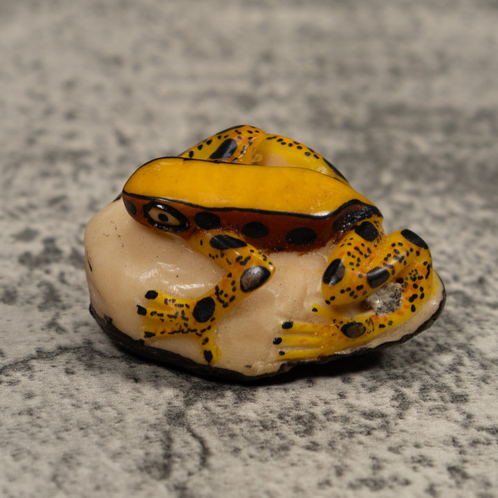 Poison Dart Frog Tagua Carving