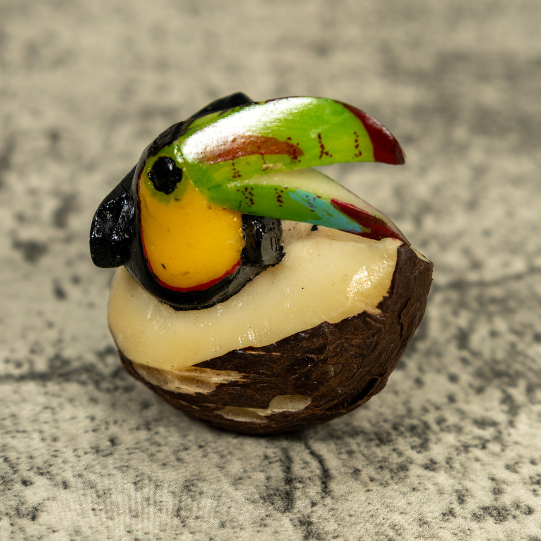 Toucan Parrot Bird Tagua Carving