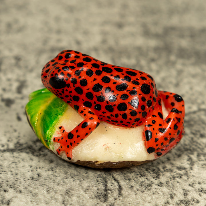 Red And Black Poison Dart Frog Tagua Carving