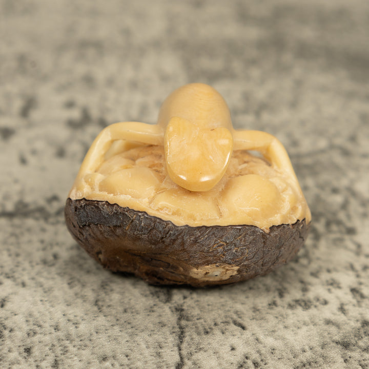 Natural White Frog Tagua Carving