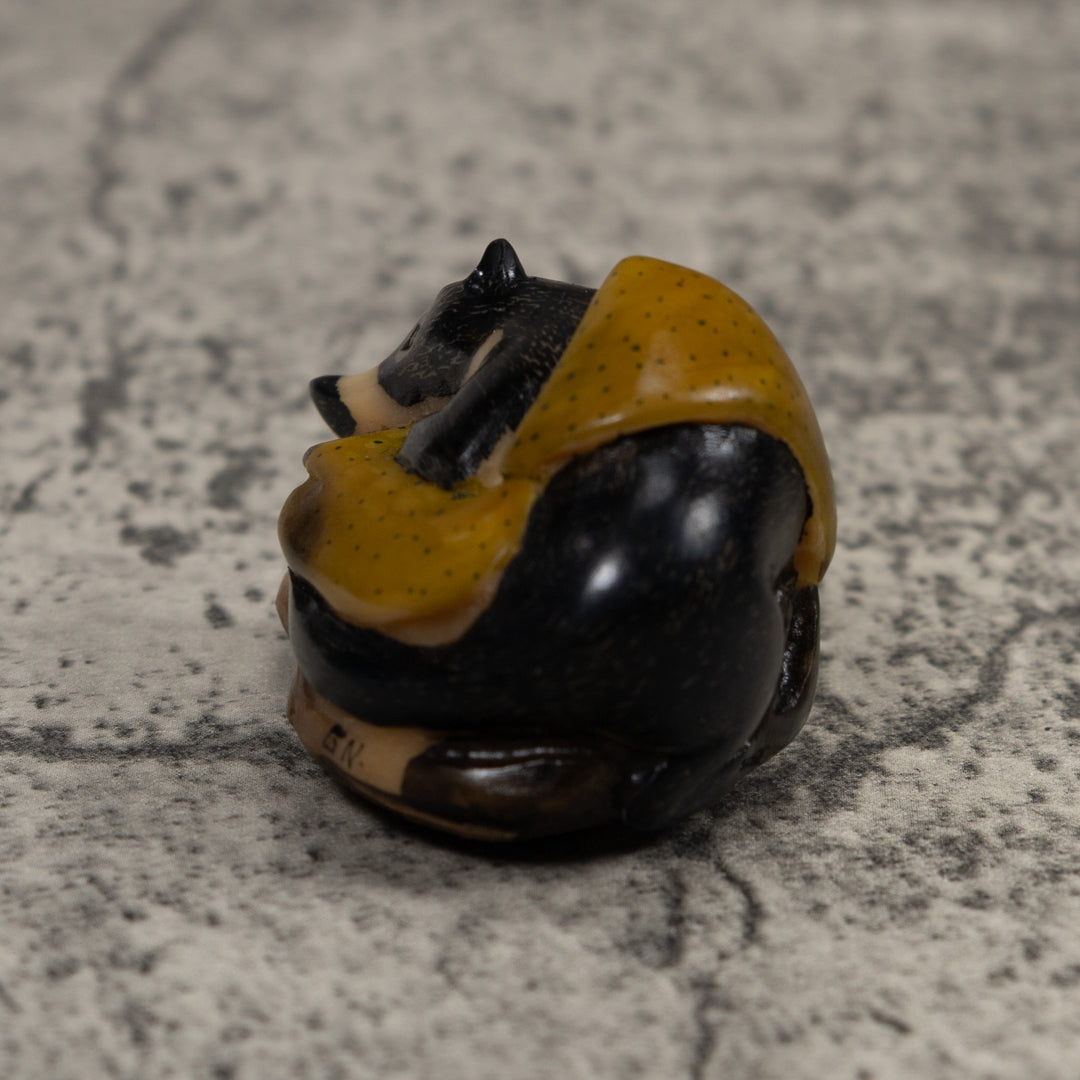 Coatimundi Tagua Carving