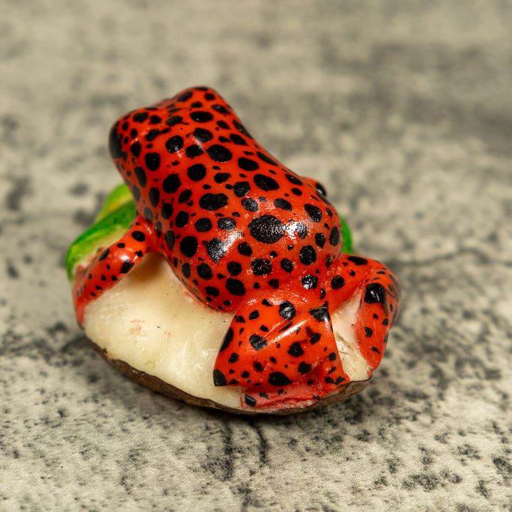 Red And Black Poison Dart Frog Tagua Carving