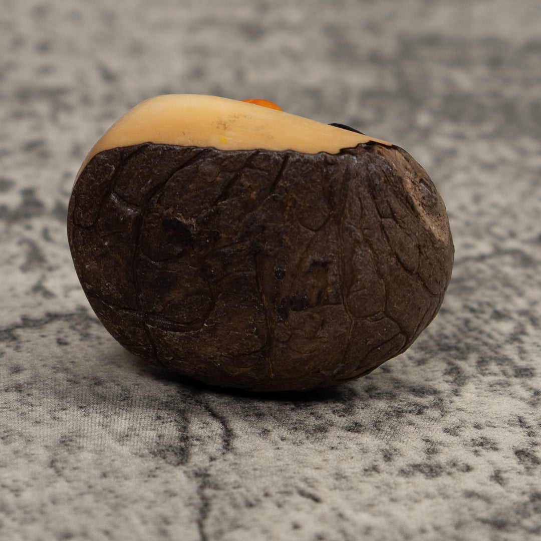 Black And Gold Poison Dart Frog Tagua Carving