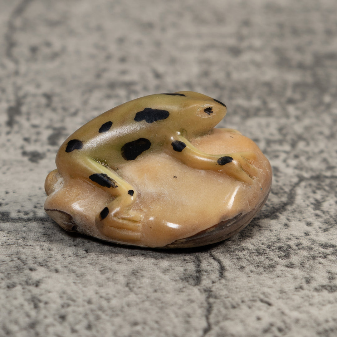 Pale Yellow And Black Jungle Frog Tagua Carving