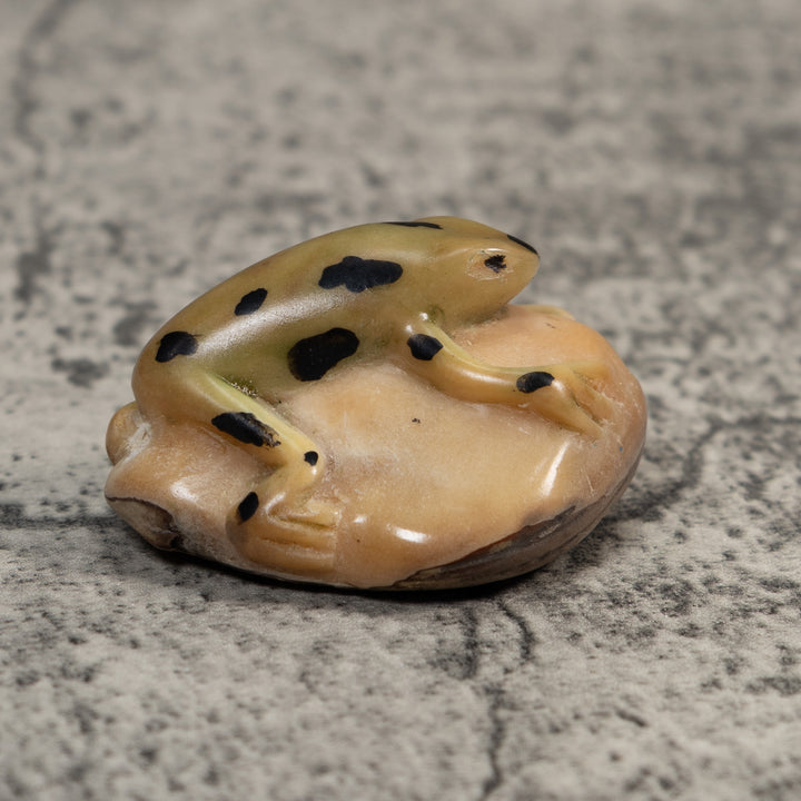 Pale Yellow And Black Jungle Frog Tagua Carving
