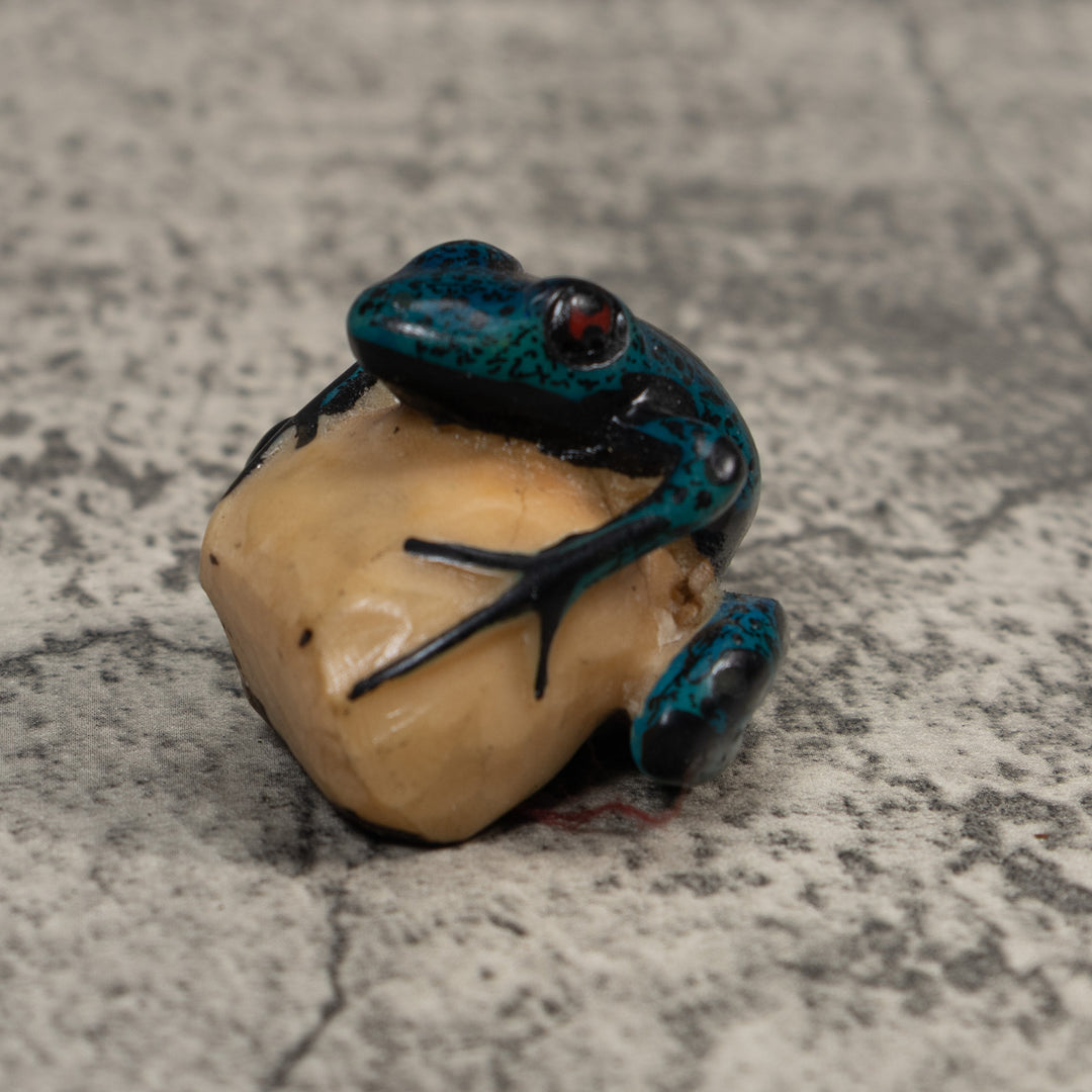 Blue And Black Poison Dart Frog Tagua Carving