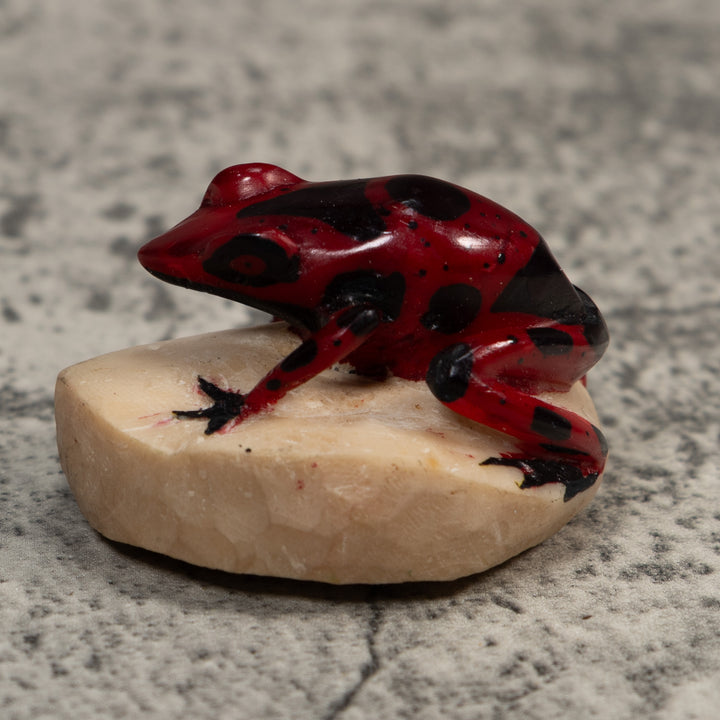 Vintage Red And Black Poison Dart Frog Tagua Carving