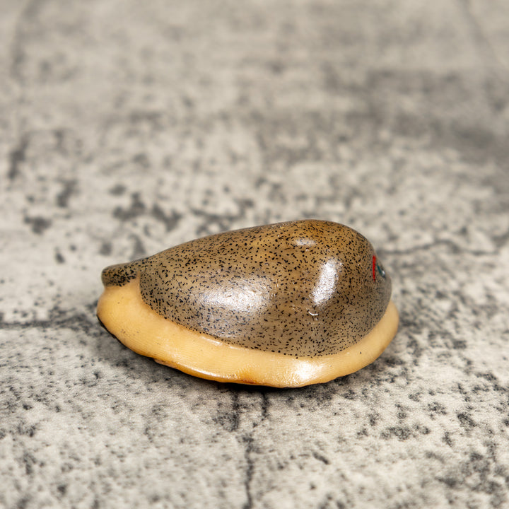 Ocean Stingray Tagua Carving