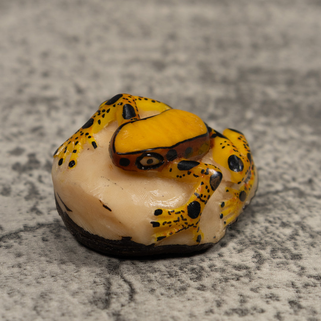 Poison Dart Frog Tagua Carving