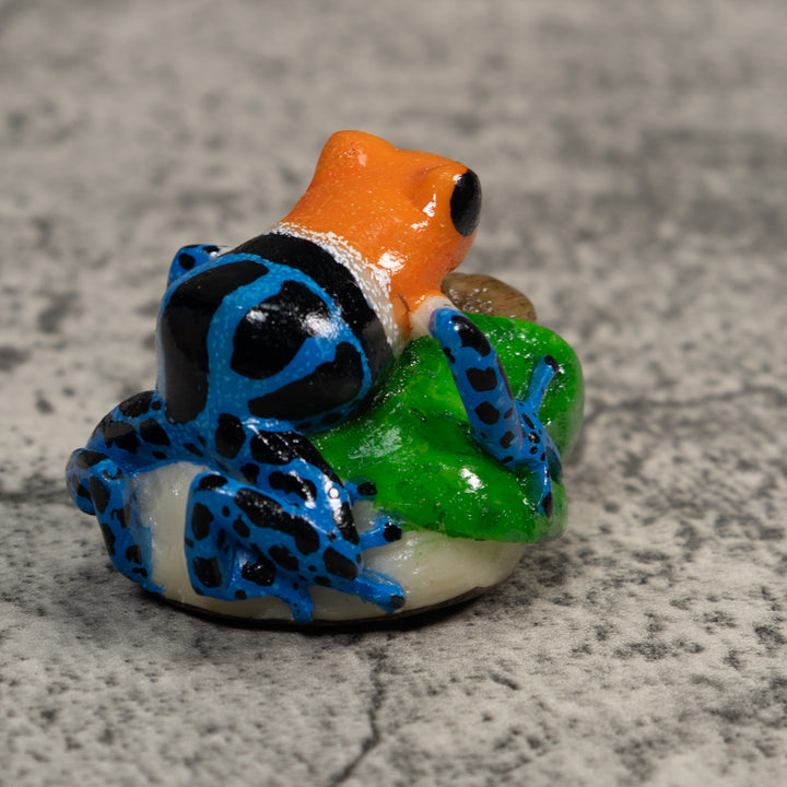 Orange Blue And Black Poison Dart Frog Tagua Carving