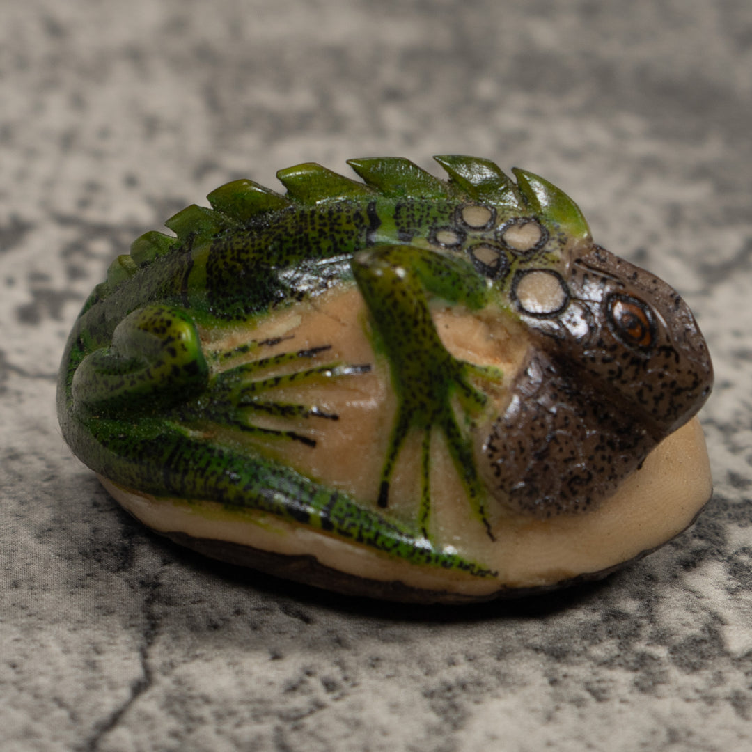 Iguana Lizard Reptile Tagua Carving
