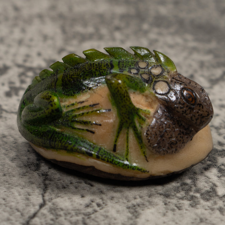 Iguana Lizard Reptile Tagua Carving