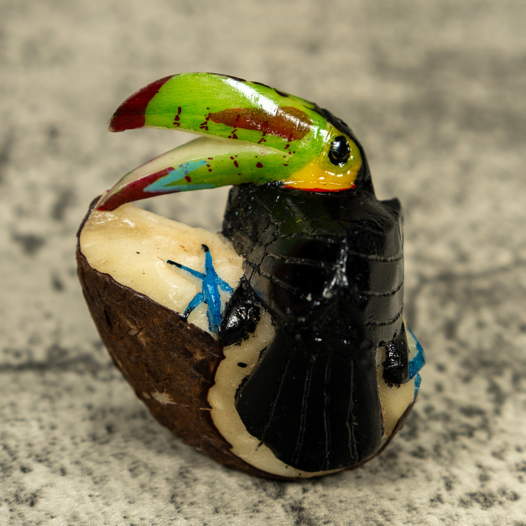Toucan Parrot Bird Tagua Carving