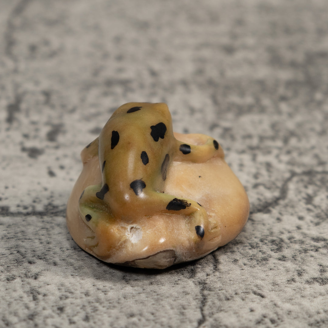 Pale Yellow And Black Jungle Frog Tagua Carving