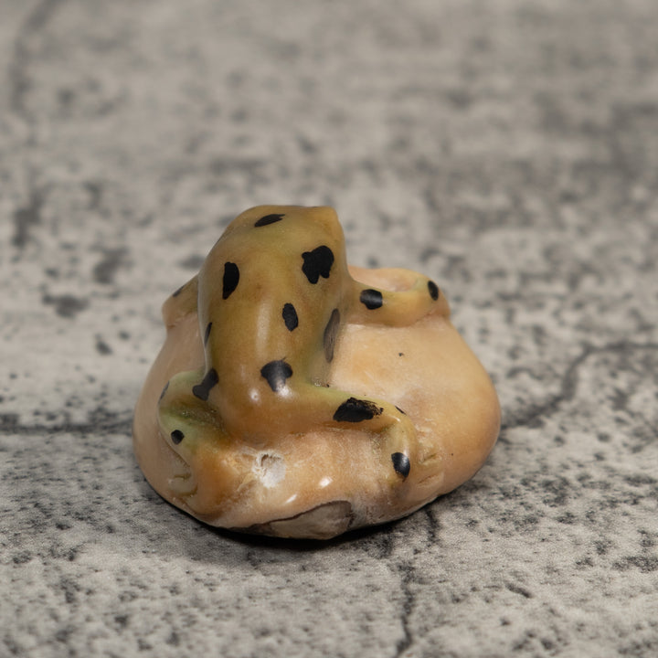 Pale Yellow And Black Jungle Frog Tagua Carving