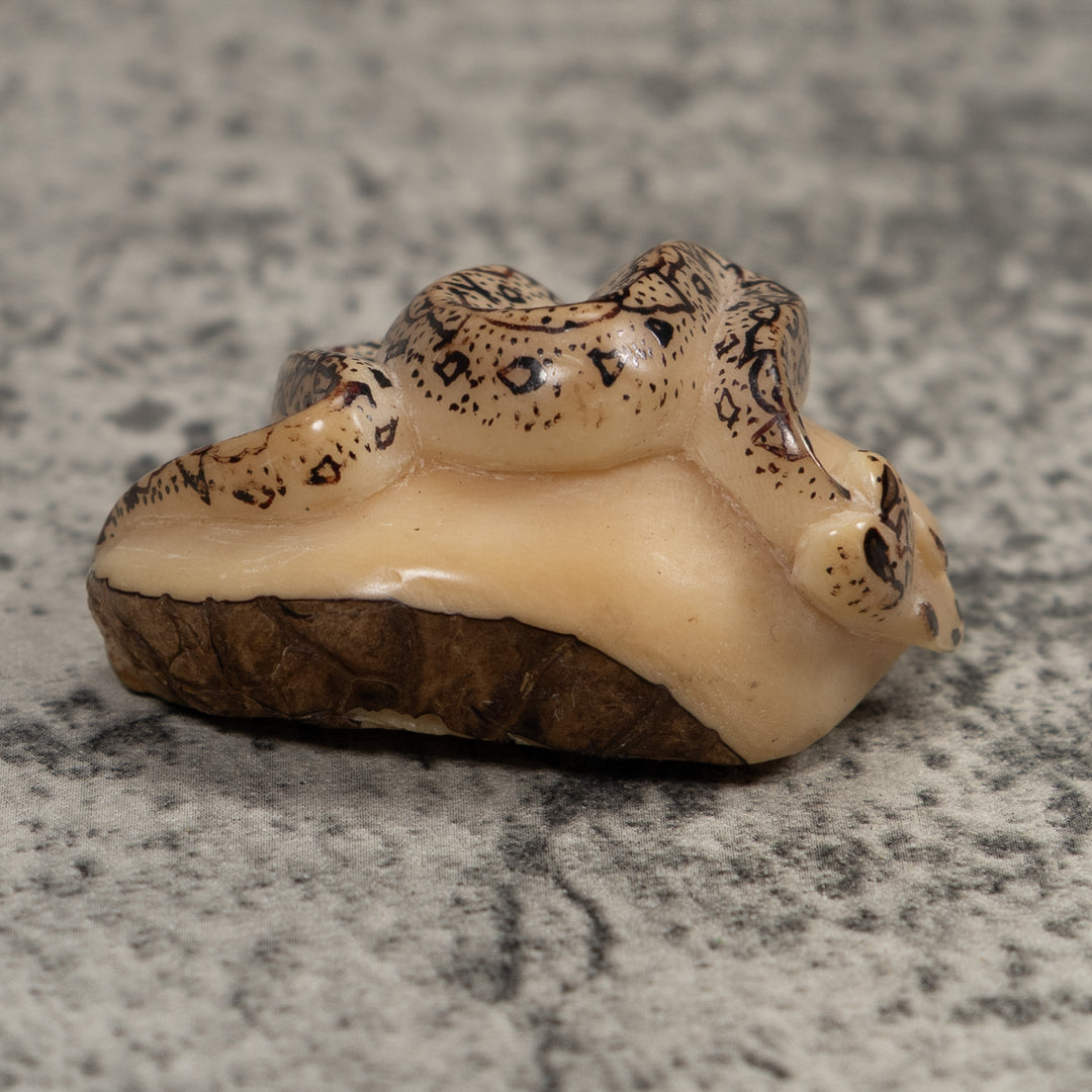 Jungle Snake Tagua Carving