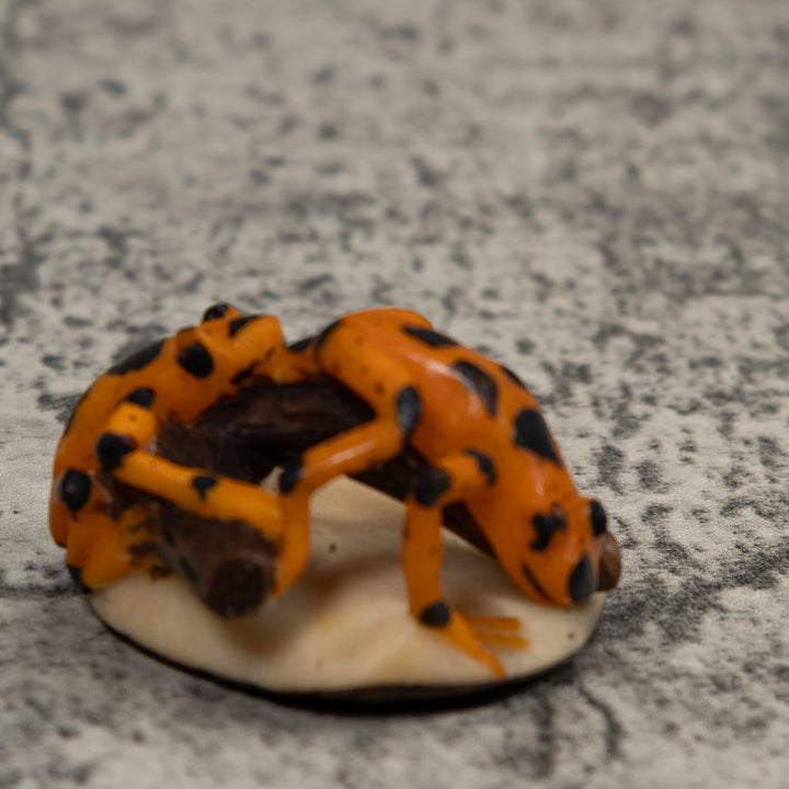 Vintage Double Black And Gold Frog Tagua Carving