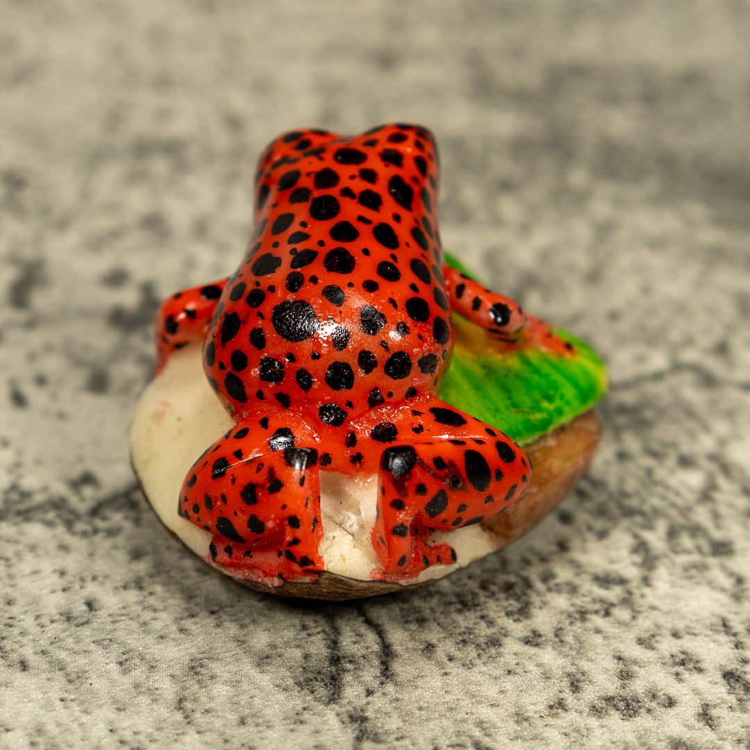 Red And Black Poison Dart Frog Tagua Carving