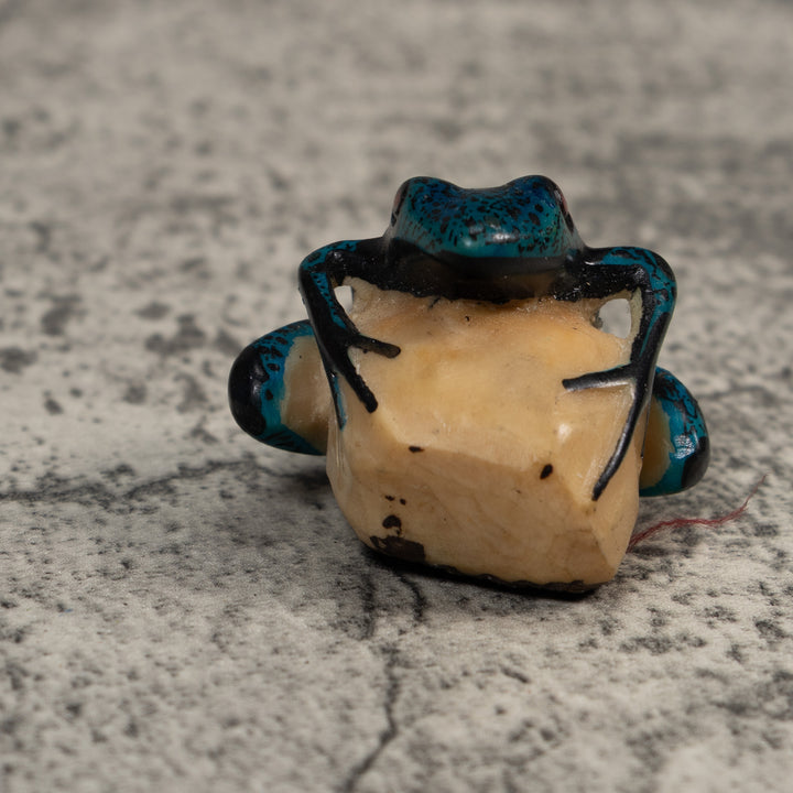 Blue And Black Poison Dart Frog Tagua Carving