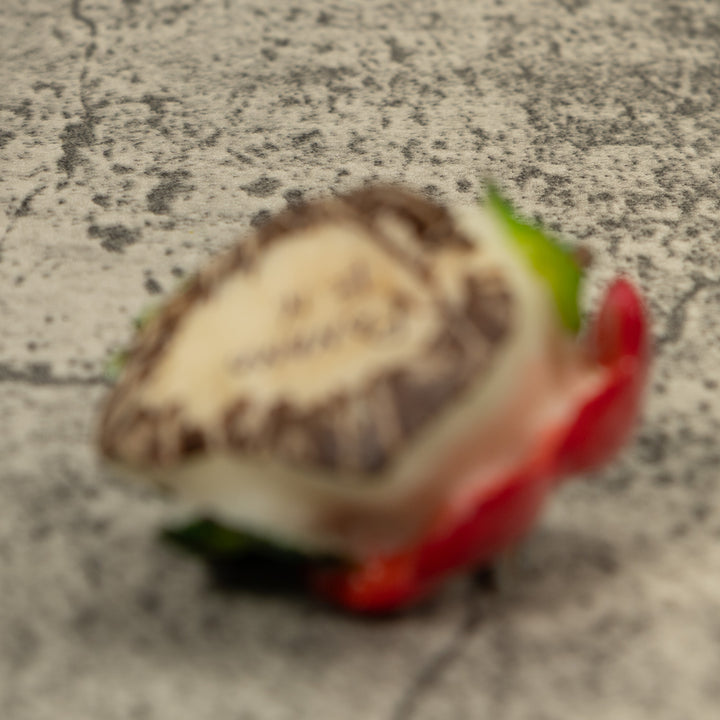 Hummingbird Tagua Carving