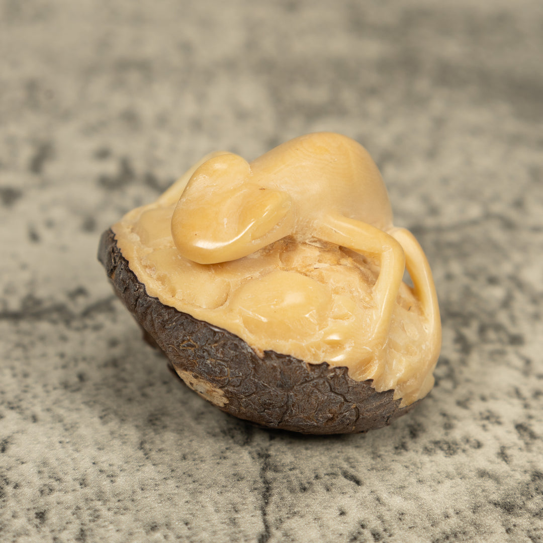 Natural White Frog Tagua Carving